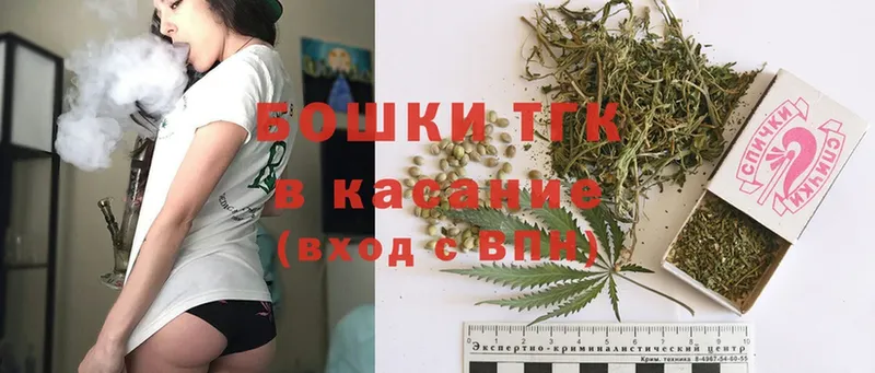 где купить   Северская  Бошки марихуана SATIVA & INDICA 